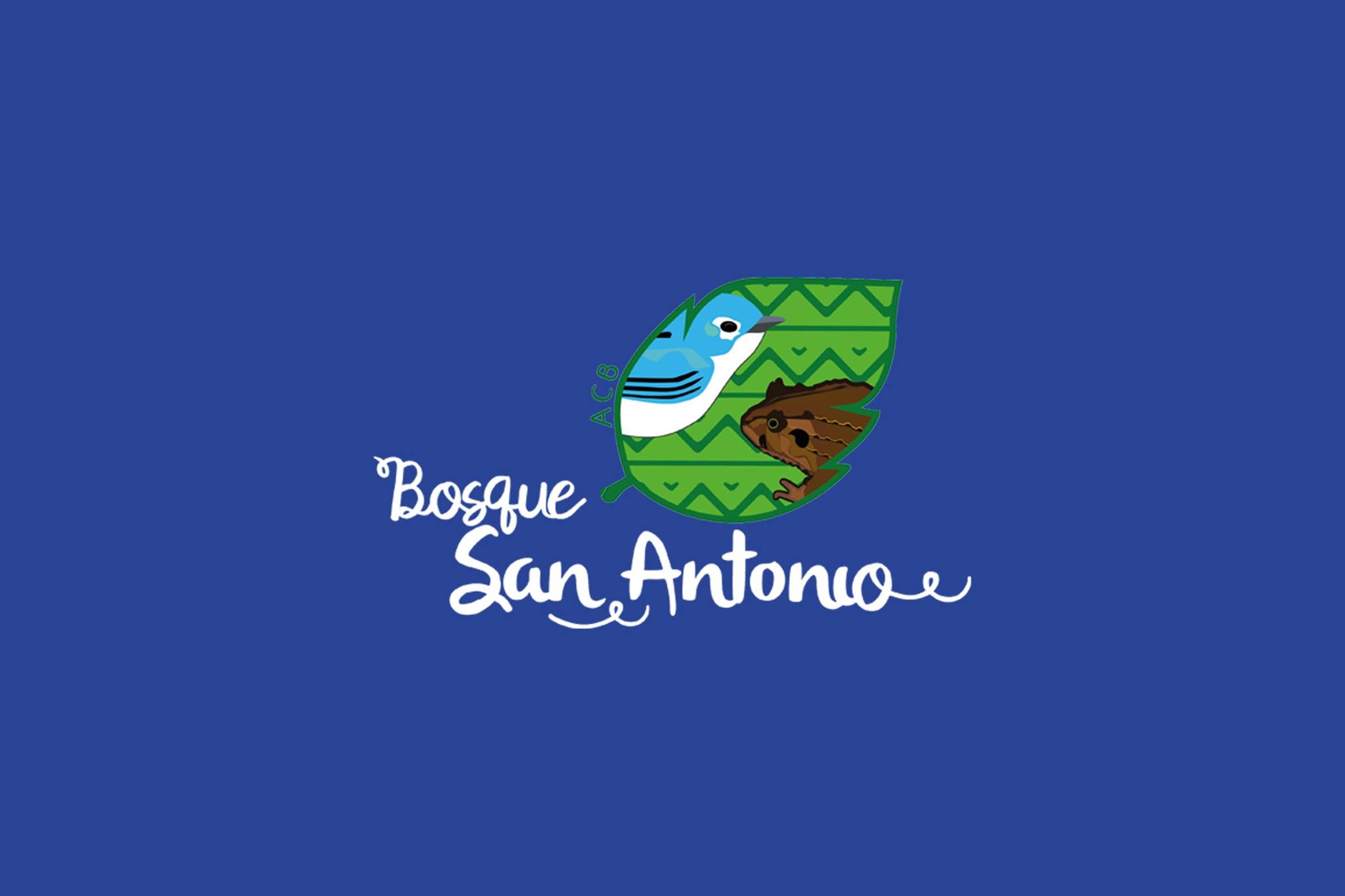 Buen día amigo(a)s del SIDAP Valle: Les compartimos un link para que conozcan el proceso socioambiental de diversos actores locales, institucionales y propietarios de predios donde existe bosque nublado y que hacen procesos de conservación local y son parte del SIDAP. El proceso es llamado “Gobernanza para la Conservación del Área Clave de Biodiversidad (ACB) Bosque de San Antonio (BSA)” y es un esquema de gobernanza compartido entre comunidad, instituciones, empresa privada, ONGs y demás organizaciones de 