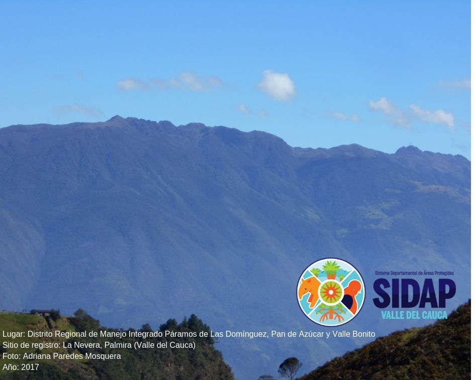 Panorámica del DRMI Páramos Las Domínguez, Pan de Azúcar y Valle Bonito