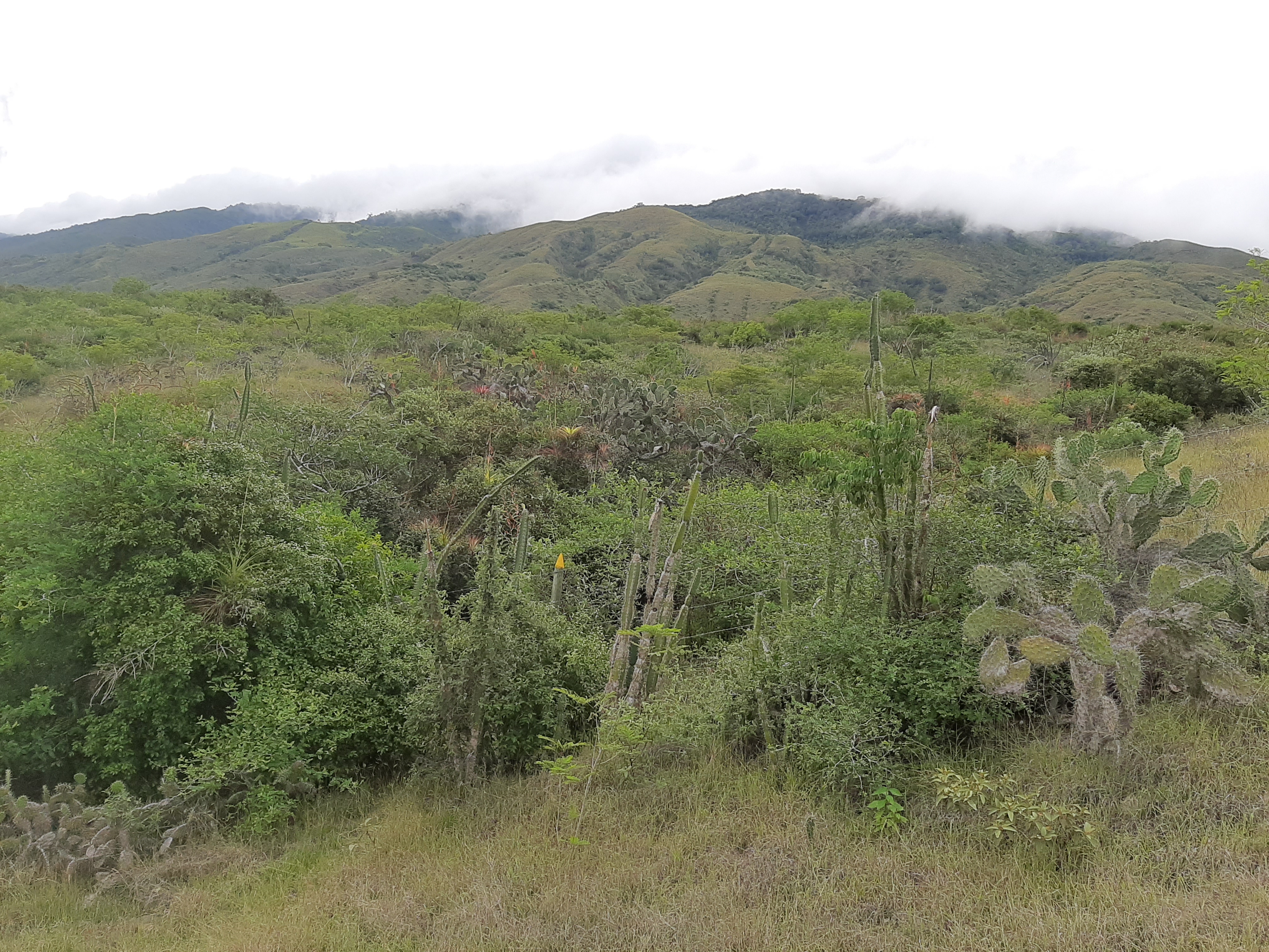 DSC Cañón de Río Grande