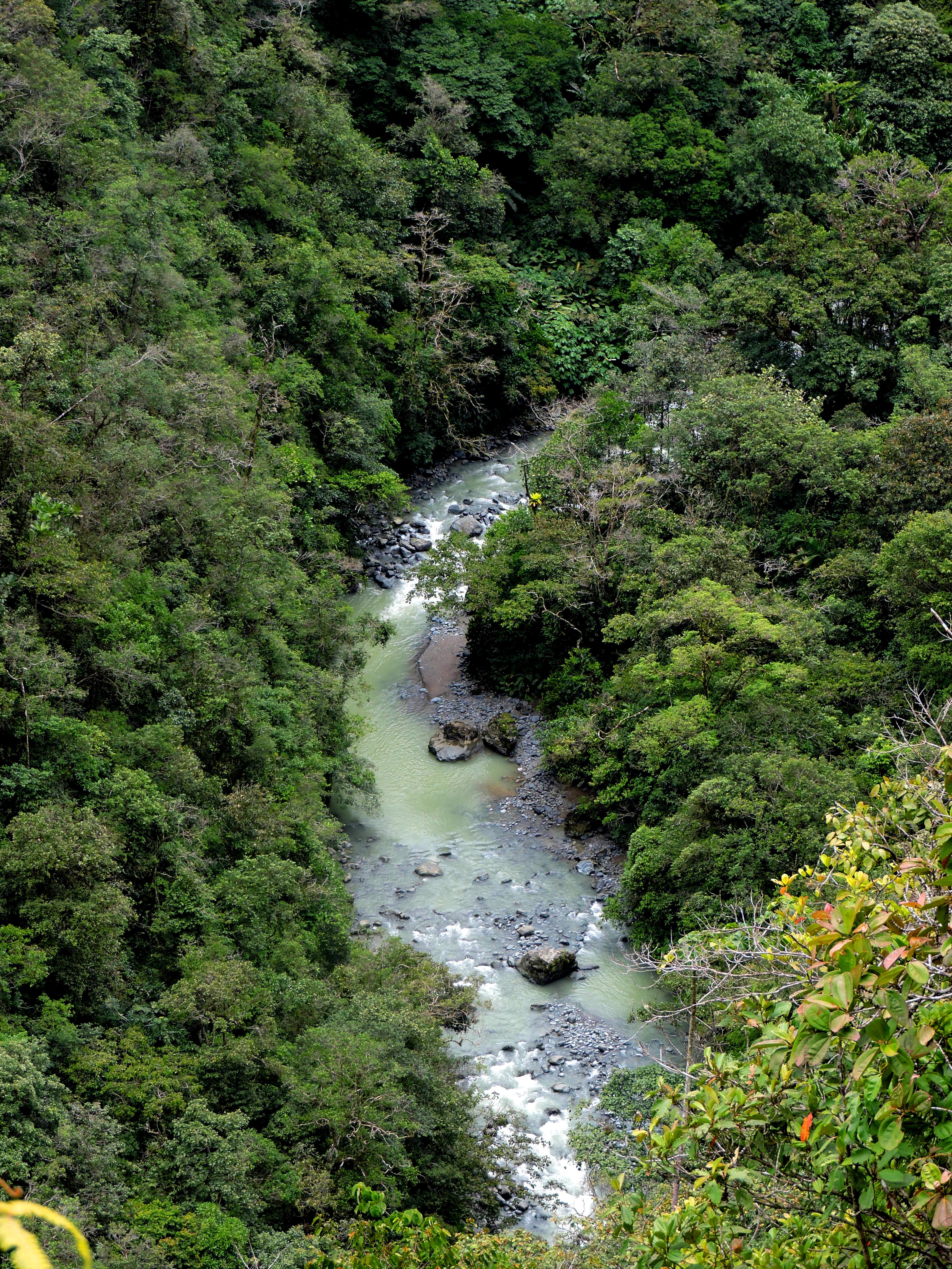 RFPR Río Bravo