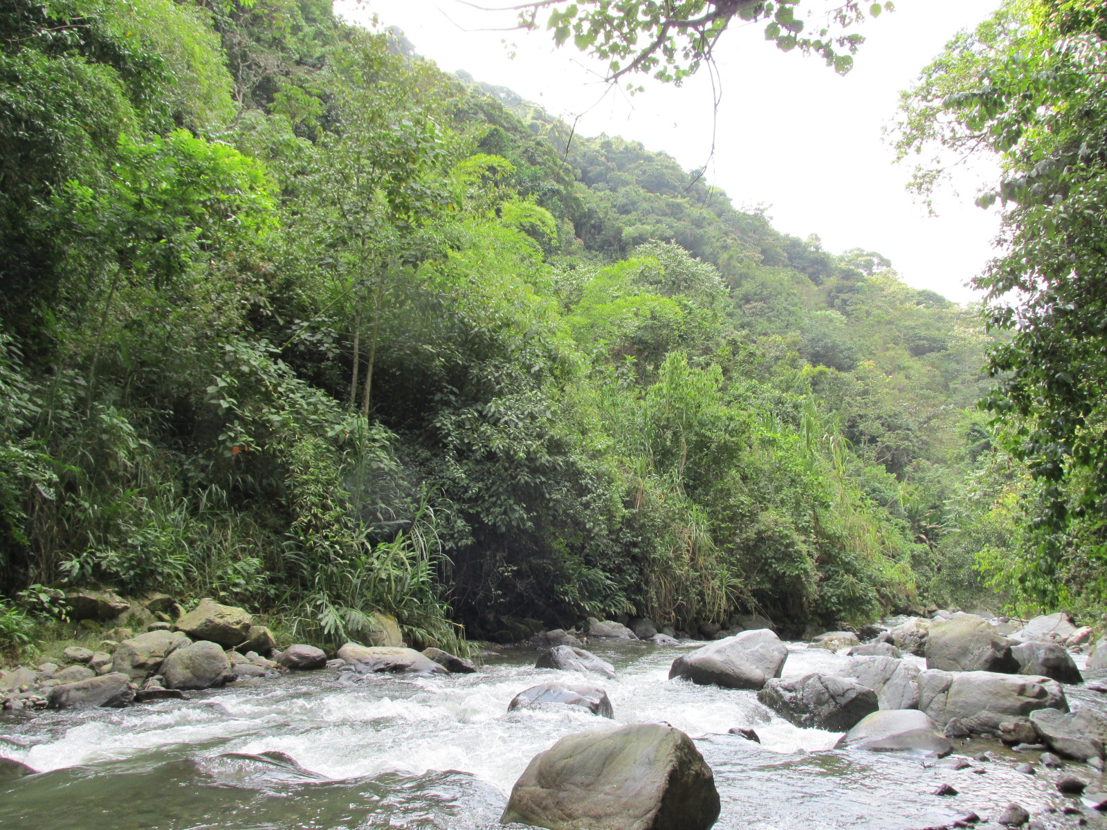 Visita a la RFPN de Sonso- Guabas, Puentepiedra