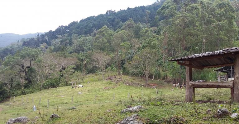RNSC - El Triunfo - Pradera
