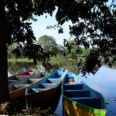 Laguna de Sonso